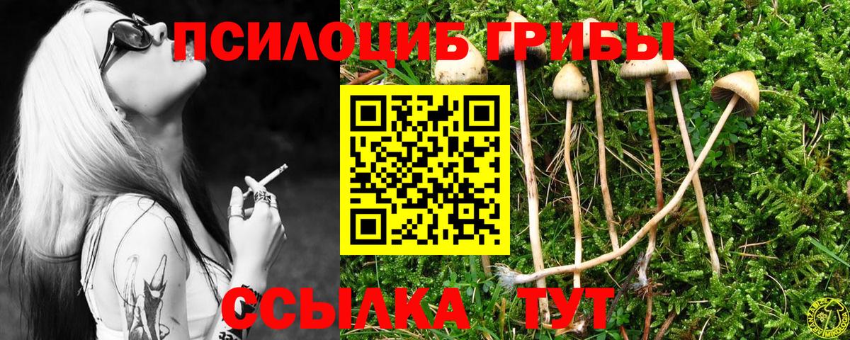 Галлюциногенные грибы ЛСД Мурманск