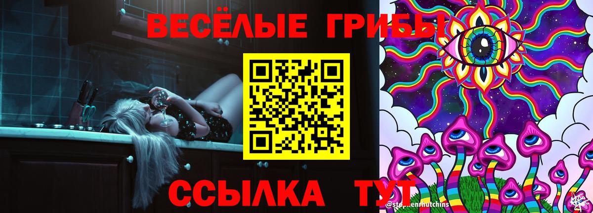 Мурманск  Псилоцибиновые грибы мухоморы  сколько стоит  Псилоцибиновые грибы мухоморы  Вход с VPN 